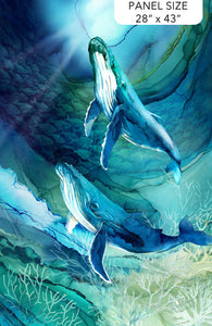 Northcott - Deep Blue - Whales - Panel - 28" x 43" - DP28120-48 (per panel)